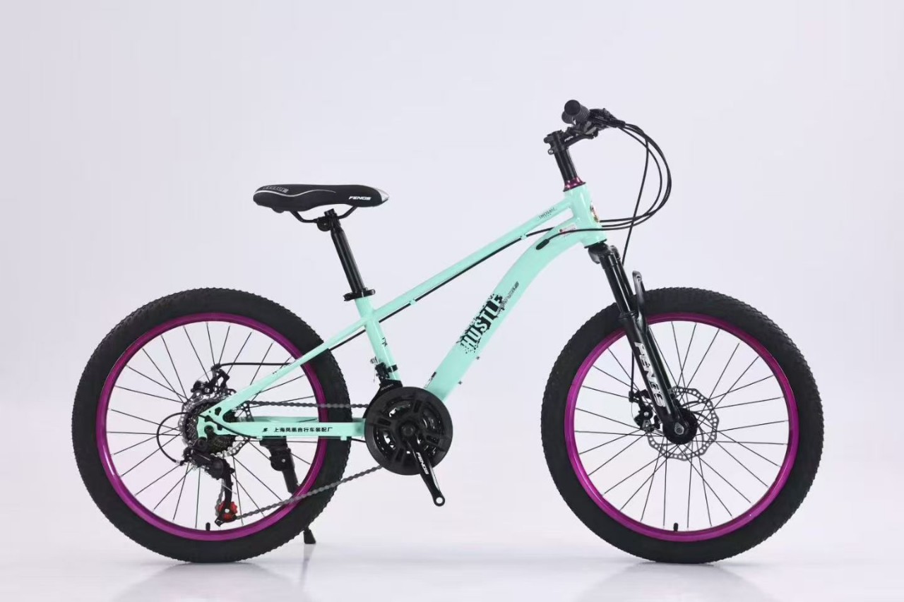 22 Phoenix viento violeta círculo bicicletas de montaña cambio de velocidad bicicleta de montaña para adultos