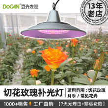 õ���¼��Nֲ�a��� ���Ҵ�����÷�ˮֲ���LEDȫ���Vֲ�����L��