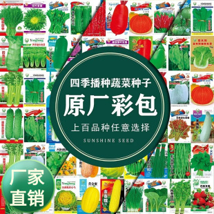 �߲˷N���ļ����N���t����˴�ײ�С�[�S�����˷N��ͥԺ�̨����