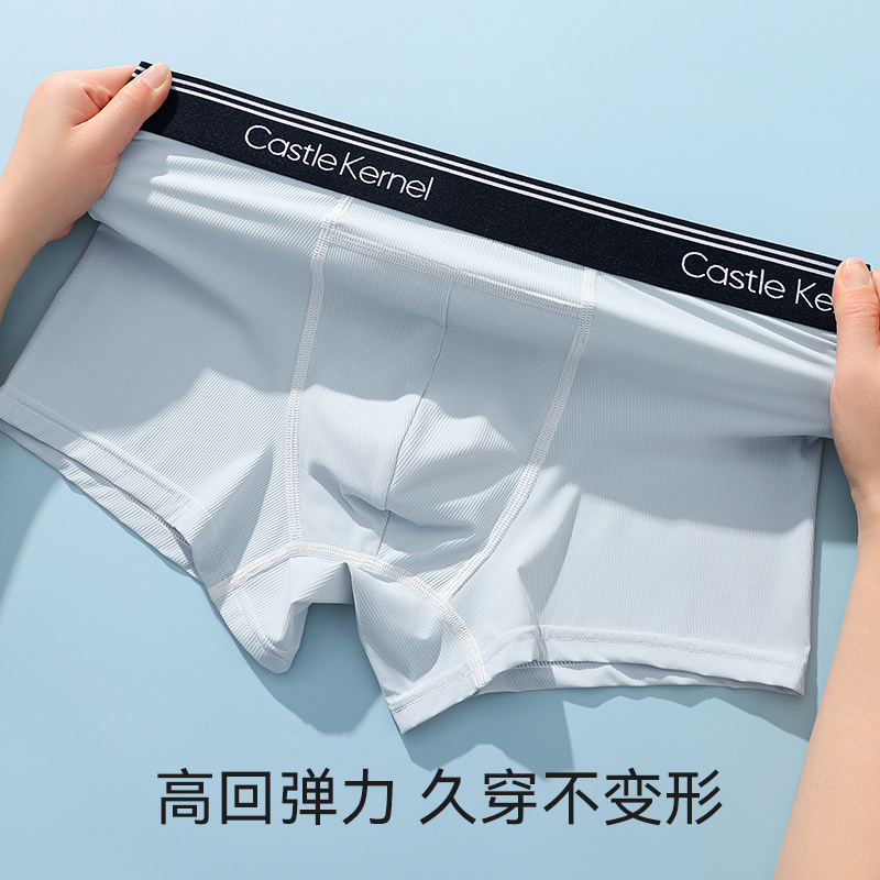 Ropa interior de seda de hielo para hombres, pantalones bóxer antibacterianos transpirables, pantalones cortos bóxer finos de verano para niños, ropa interior sin costuras para hombres