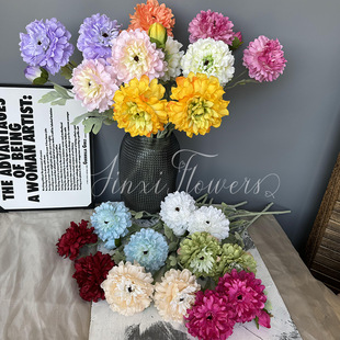 ����ٻ�ĵ�������Wins�Ҿ��b� �nʽС�����L����ٻ��g�hĵ��