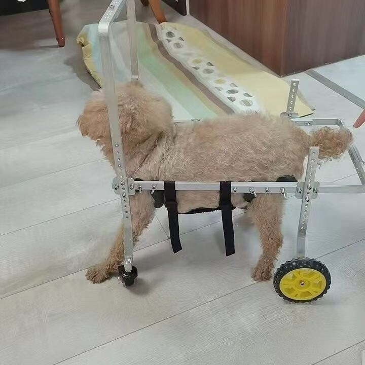 Dog with Limb Weakness, Pet Rehabilitation Scooter for Elderly, Disabled Dog Rear Leg Rehabilitation Vehicle, Quadriplegic Dog