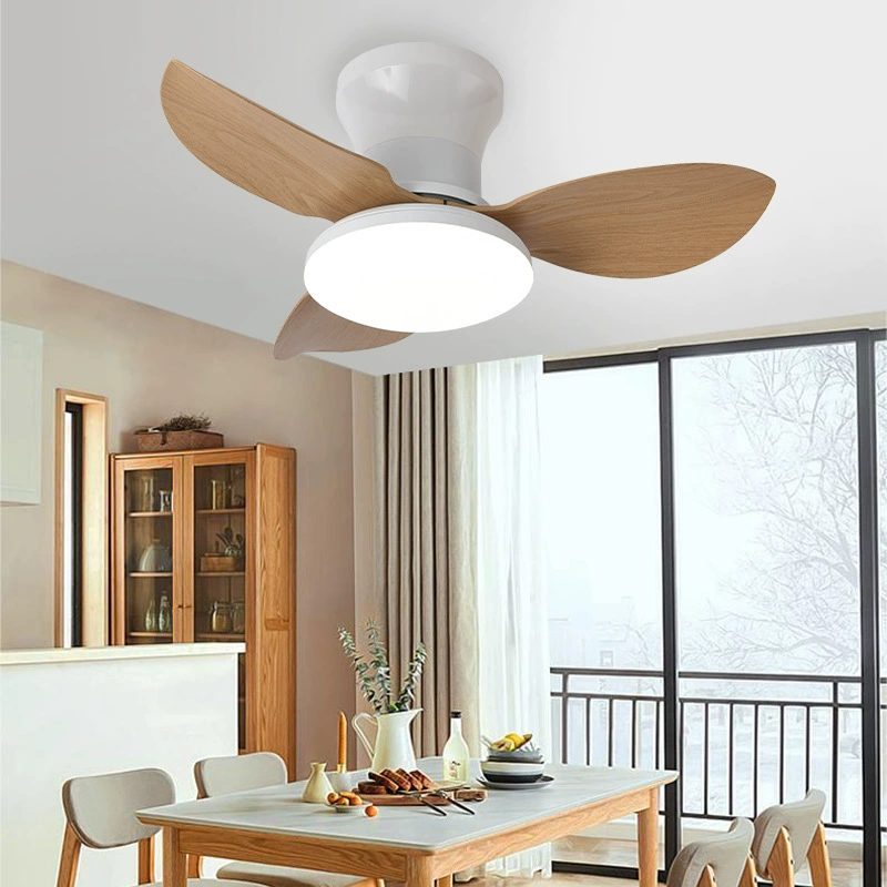 Air fan for living room, lights, ceiling lamp, new collection