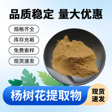杨树花提取物 杨树花水溶浓缩粉另有杨树花素萃禾生物现货直发