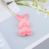 Cartoon resin with accessories, footwear buckle, hat, hairgrip, decorations, new collection, wholesale