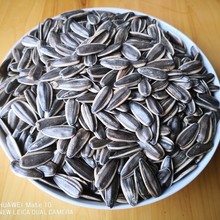 五香味瓜子 瓜子批发休闲食品 盐焗味原味30斤装厂家销售
