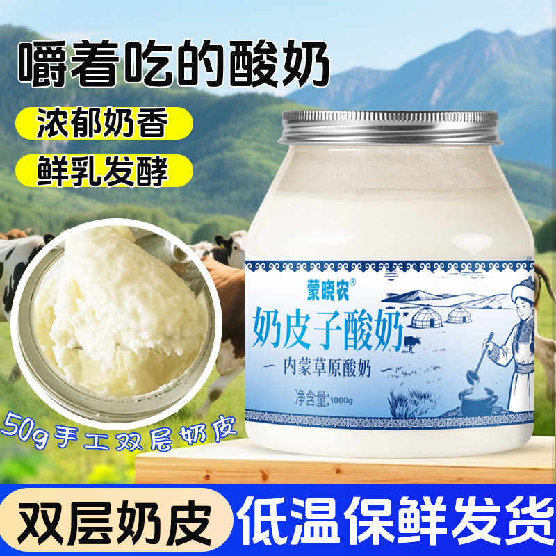 西域鲜奶皮子酸奶内蒙古手工奶皮子老酸奶不添加防腐剂源头直发|undefined