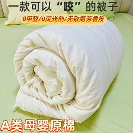 A类母婴大豆纤维被原棉加厚冬被宿舍酒店春秋夏被芯高端礼品被子