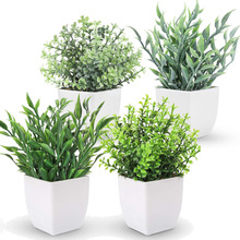 �Ҿ��b�С���� ����Gֲ�k���������b� �������ֲ��