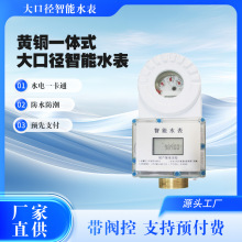 水表现货工厂大口径一体式智能防水防潮预付费刷卡阀控远传水表