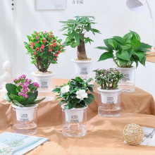 ԺþG}dӻ҃ȻֲˮBľGֲԏSһl