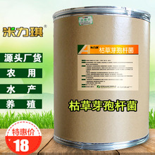 ������ �ݲ�ѿ�ߗU�� 200�|��� ˮ�a�Bֳ�� �ĵ׷�ˮ ΢�������