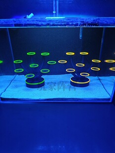 �ɹ�l��ɺ������̨������Ӹ�ɺ����ֳ��֫��ܛ�wӲ�Ǽ~�۷�ֳ̨