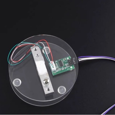 Module, sensor, acrylic electronic scales