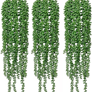 �羳 ����Gֲ���˜I�ٗl �Ҿ��bٻ�����ڒ����Gֲ���ֲ��