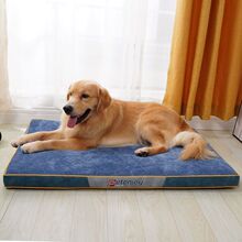 �ɲ�ϴ�����|��̩��С��Ȯ�����ﶬ��ë��̖؈���C����|�羳