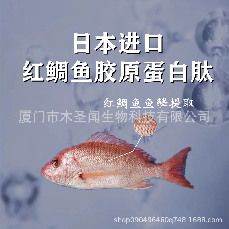 Japan imported deep sea red snapper collagen peptide small molecule peptide easy to absorb pure pink snapper fish scale extraction