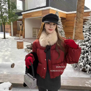 �n���}�Q�t�����ë�I�̿���q��Ů2025�����¿�90�����q��ů����