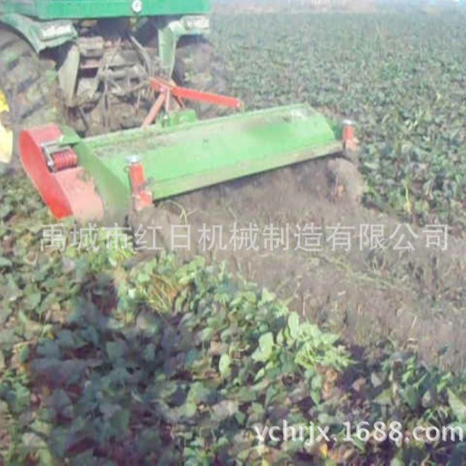 马铃薯杀秧机   土豆杀秧机工作视频   出口农用打秧机