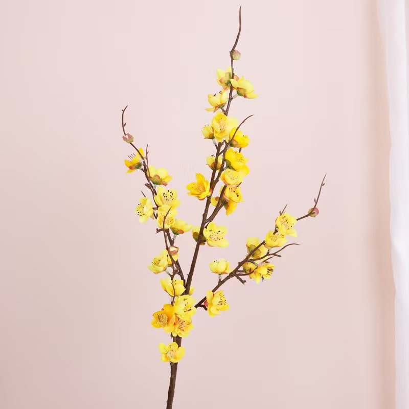 소삼갈래 매화황색(높이 93cm )