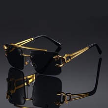 V 38966 Double Beam Leopard Print Sunglasses ����ͷ̫����
