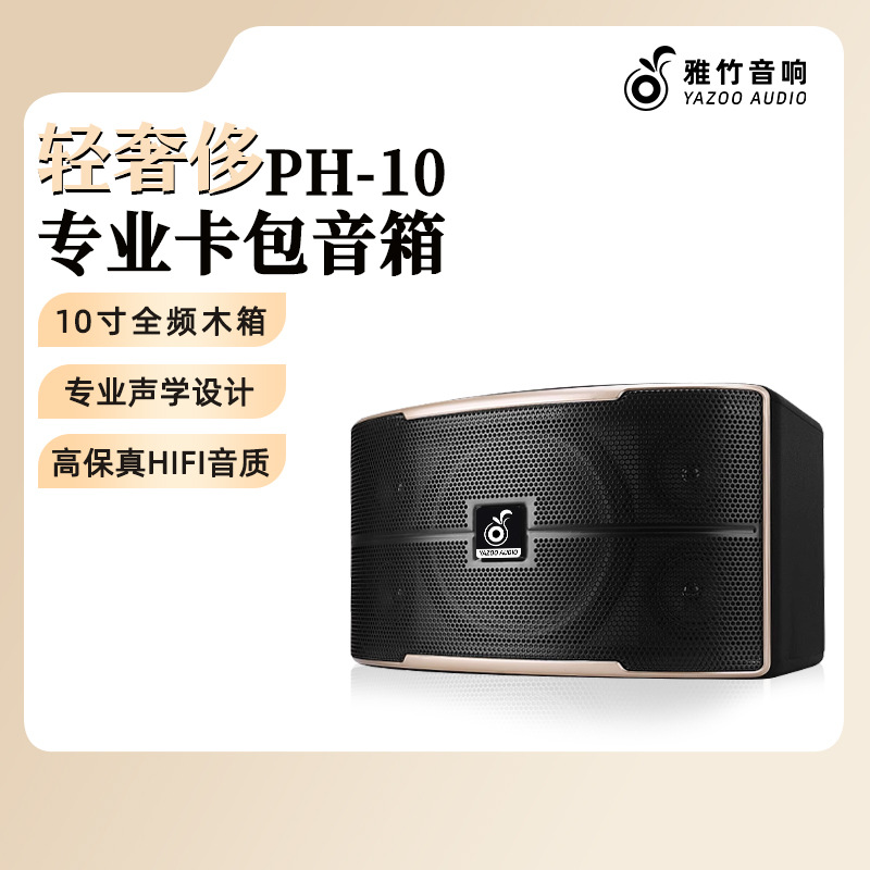 Venta al por mayor personalizado solo 10 pulgadas titular de la tarjeta profesional altavoz al aire libre karaoke transmisión en vivo hogar sala de estar familia KTV audio traje