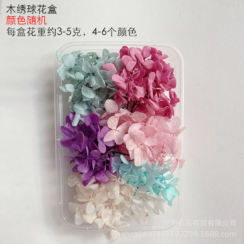 23634524149_1678662750