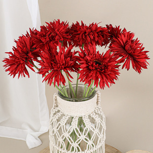 С���·����֦���z���޾� �F�����sins�L�Ҿ��b����ɫ���ʾ�