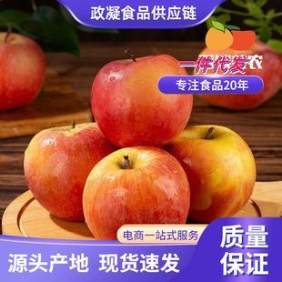 �Fժ����С�O�������خa���r�����ЋD�����t��ʿˮ�����������]