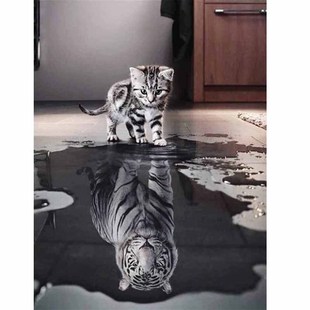 �o��DIY�����ͮ�ˮ�е�Ӱ؈�������o����ɫ�����L�b��͏d�b�