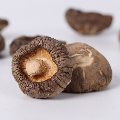 Wholesale of Yanzhifang Shiitake Mushrooms North and South Dried Shiitake Mushrooms Soup Xixia Shiitake Mushrooms Wholesale of Rootless Dried Shiitake Mushrooms