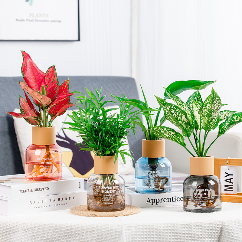 ガラス水培植物花瓶プラスチック樹脂透明香薫装飾置物水培植木鉢メーカー卸売り|undefined