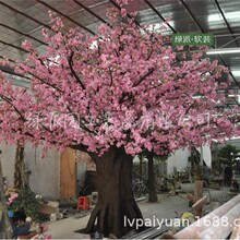 ưɄbһչd[żһSһ