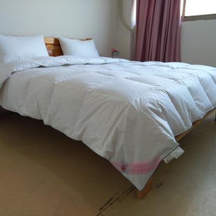 90% White Duck Down Quilt Core Factory Directly Supply Wholesale Hotel Hotel Homestay Cotton Double Down Quilt