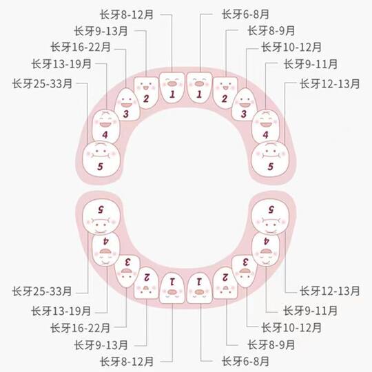 Children's nipple storage box girl's baby tooth box collection commemorative box boy's tooth change storage tooth loss collection bottle