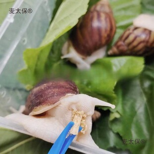 ΁ţ���l�W���^�p����΁ţ�[�����l���۰���΁ţ��ֳ�^�p��̫��