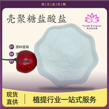 壳聚糖盐酸盐98% 水溶性壳聚糖食品级原料 脱乙酰甲壳素 厂家现货