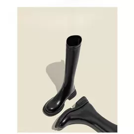 女式时装单鞋;女式皮靴;高跟凉鞋