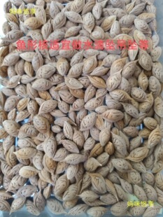 Ұ��ë�Һ�ԭ��ɢ�ѵ���ϴ���������ش�˵������~��ˮ�����Һ�