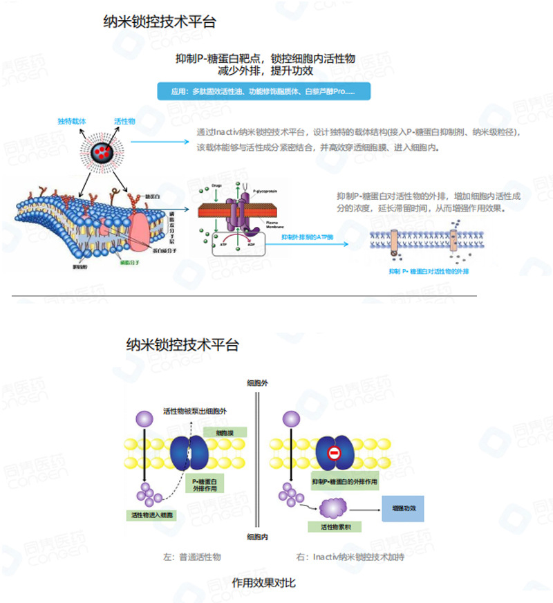 Oil-soluble anti-wrinkle active peptide_03.jpg