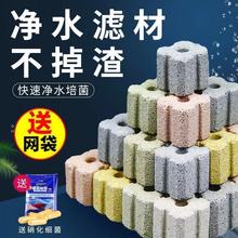 ~^V^Vմɭh{~ރˮʯVğoҎ