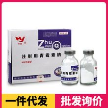 兽药兽用青霉素注射用400万单位青霉素钠猪牛羊宠物消药30瓶/盒