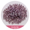 DS17