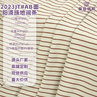 280g针织面料服装ab面阳涤珠地间条家居服面料家纺时尚保暖面料