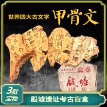 �׹��Ŀ����ھ����ä�Ї����Ą����ϲ����^���ͯ�����ޏͶY��