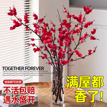 һ�����l����ˮ��t÷���һ����֦�������r���҃Ȼ���ѩ��������