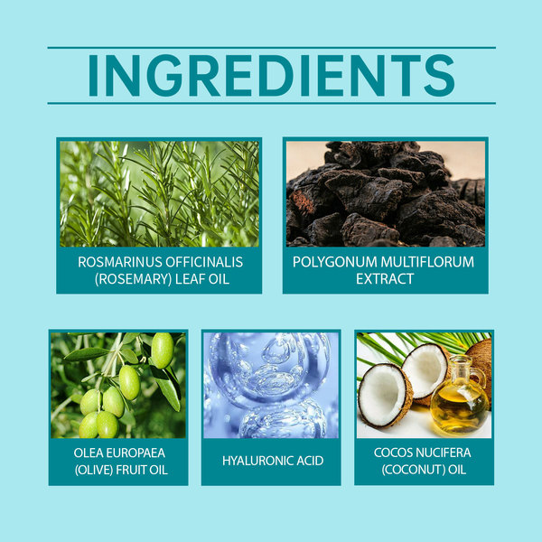HOEGOA Nutritious shampoo with rosemary