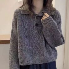 高级感穿搭灰色Polo领毛衣欧货纯色上衣欧洲站高端秋冬季新款女装
