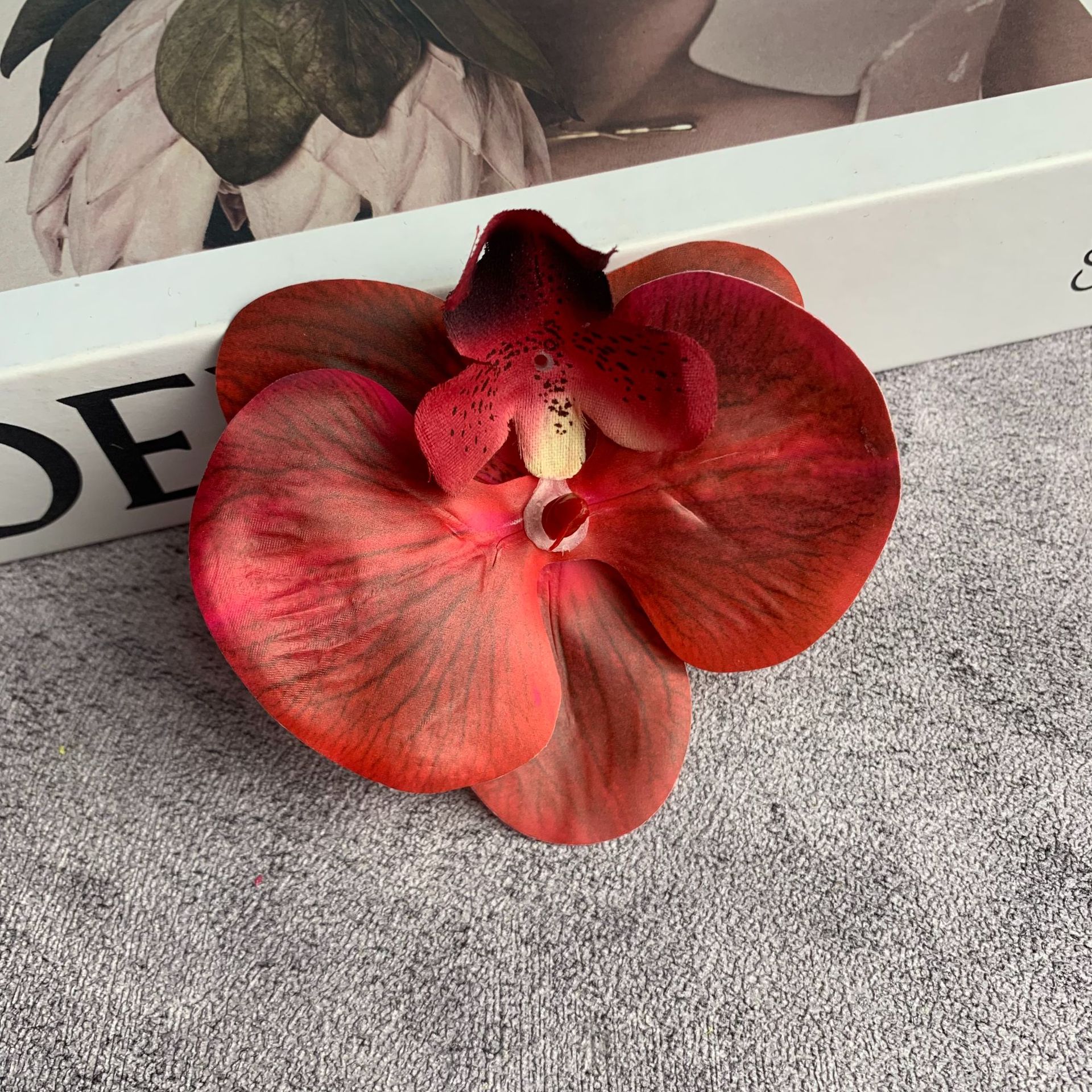 중간 호접란 꽃 머리 빨간색