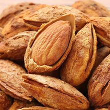 һ�����l2024�꺼����Ʒ��؛�͵�ľ50g���b8���Թ���ʳ�S�����l